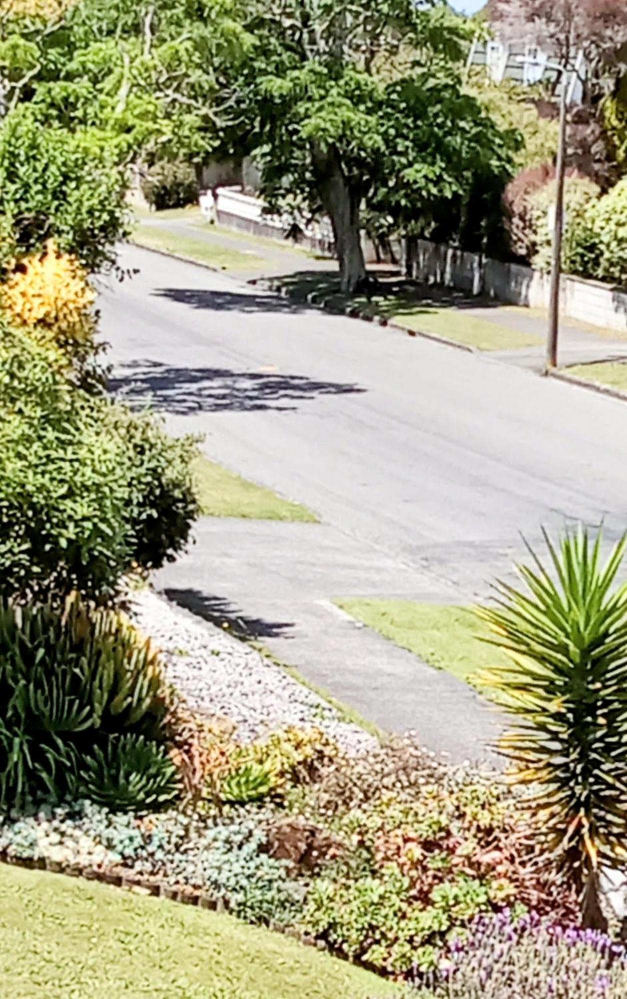 Park View 'Home Away From Home' Feilding Exterior foto